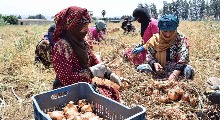 中东地区的军事升级可能会使全球超过 3000 万人陷入贫困。